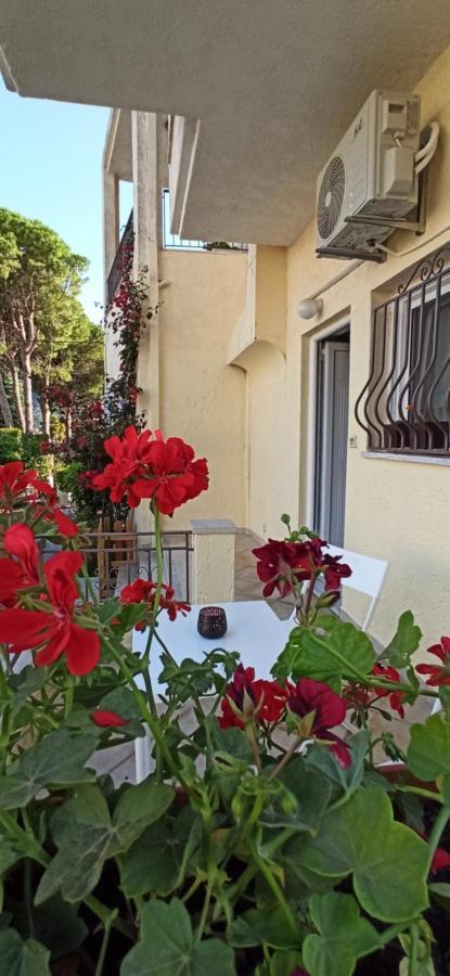 Marianthi'S Apartment بلاتاريا المظهر الخارجي الصورة